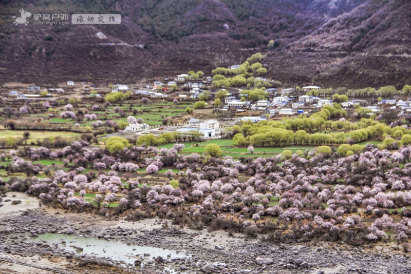 波密桃花沟