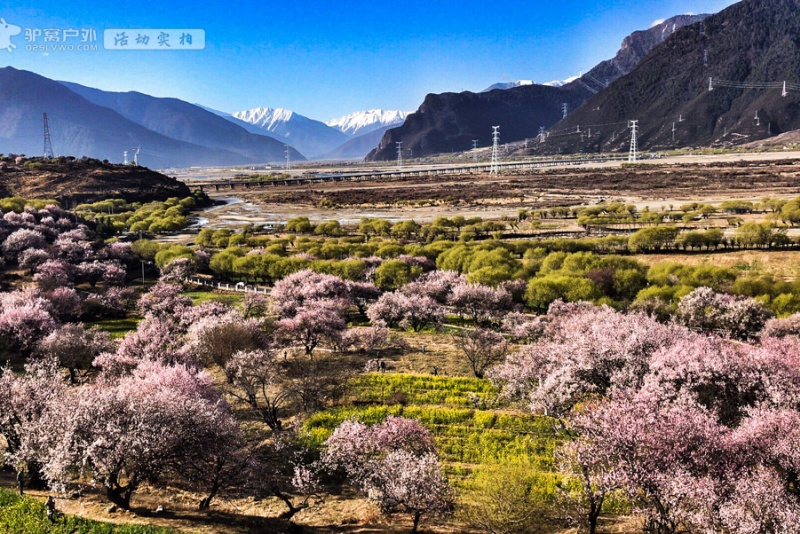 嘎拉桃花村