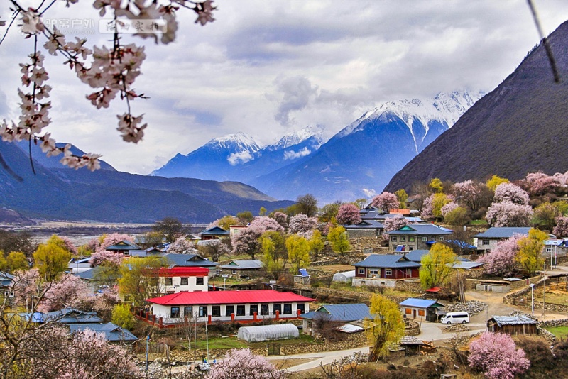 波密桃花沟