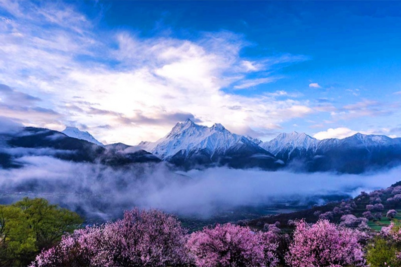 雅鲁藏布江大峡谷