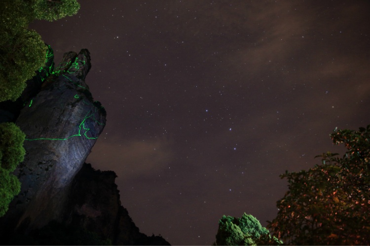 灵峰夜景