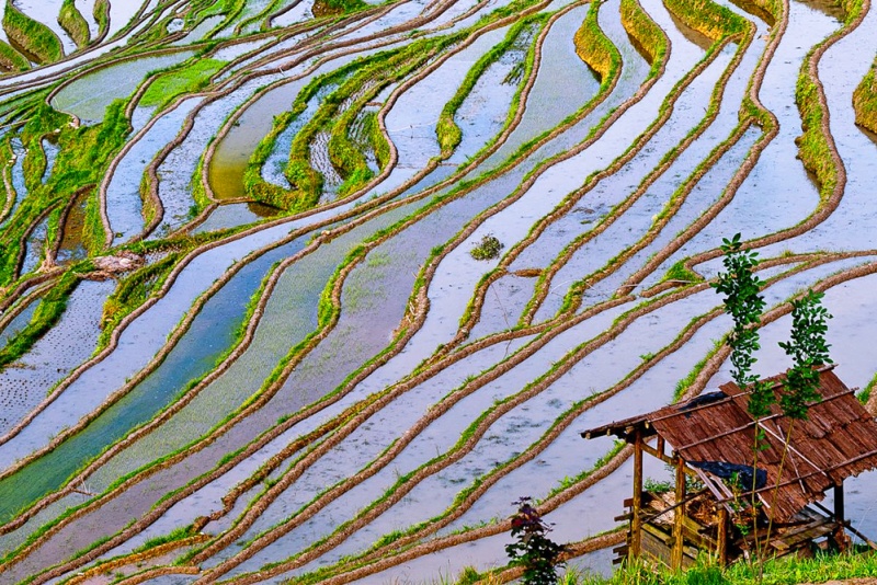 加榜梯田