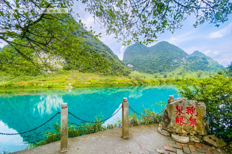 鹅泉