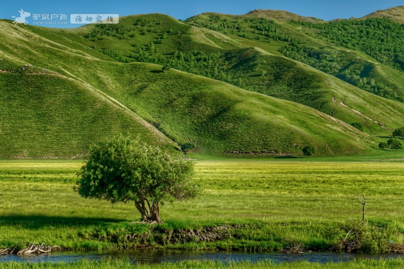 阿尔山.路景