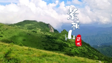 【留坝| 秦岭小城时光】9月  秦岭紫柏山 狮子沟牧场 留坝老街 2日游