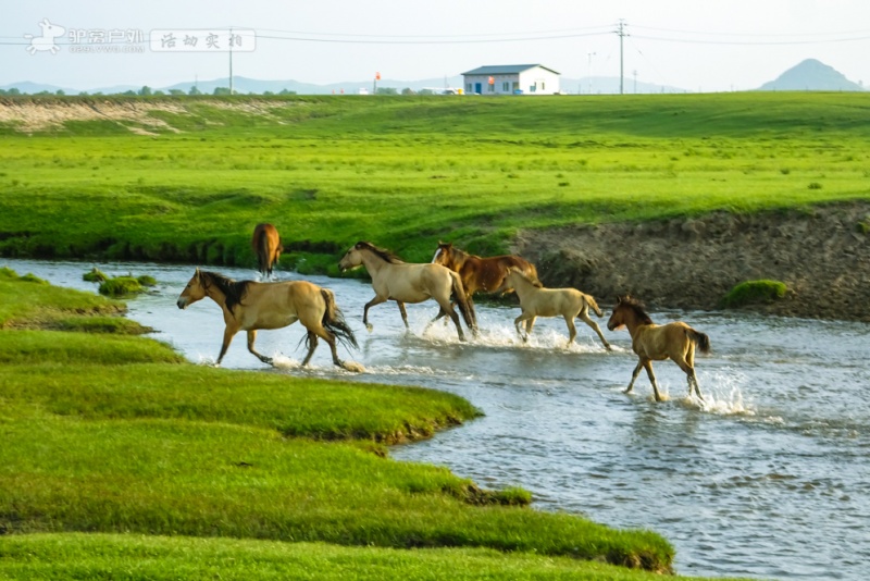 越野车探秘草原深处