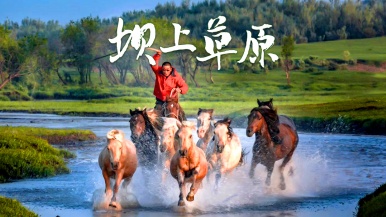【全新优化●坝上草原|乌兰布统●花开塞北】7-8月特别赠送烤全羊 避暑塞北坝上草原 越野探秘  群马奔腾恢弘气势6日深度