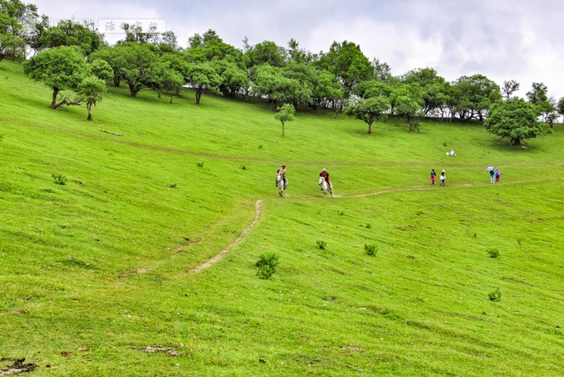 高寒川