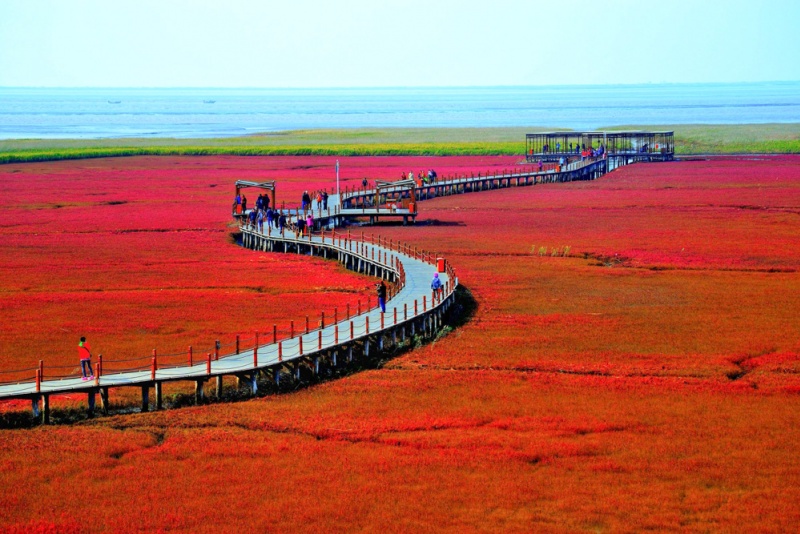 盘锦红海滩