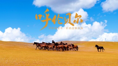 【陆地头等舱2+1车型| 赏秋推荐•呼伦贝尔秋摄】9月 金秋呼伦贝尔 醉美阿尔山 打卡网红边境线  感受中俄风情 12日