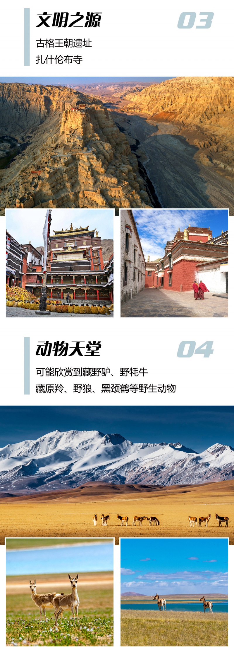 阿里南线-亮点图模板6-4