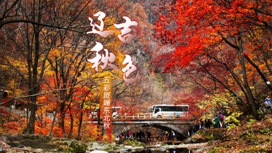 【豪华2+1车型| 赏秋推荐•辽吉秋色】9-10月 赴世界枫叶之都 赏最美红叶 邂逅顶级秋色 长白山 丹东 本溪 9日