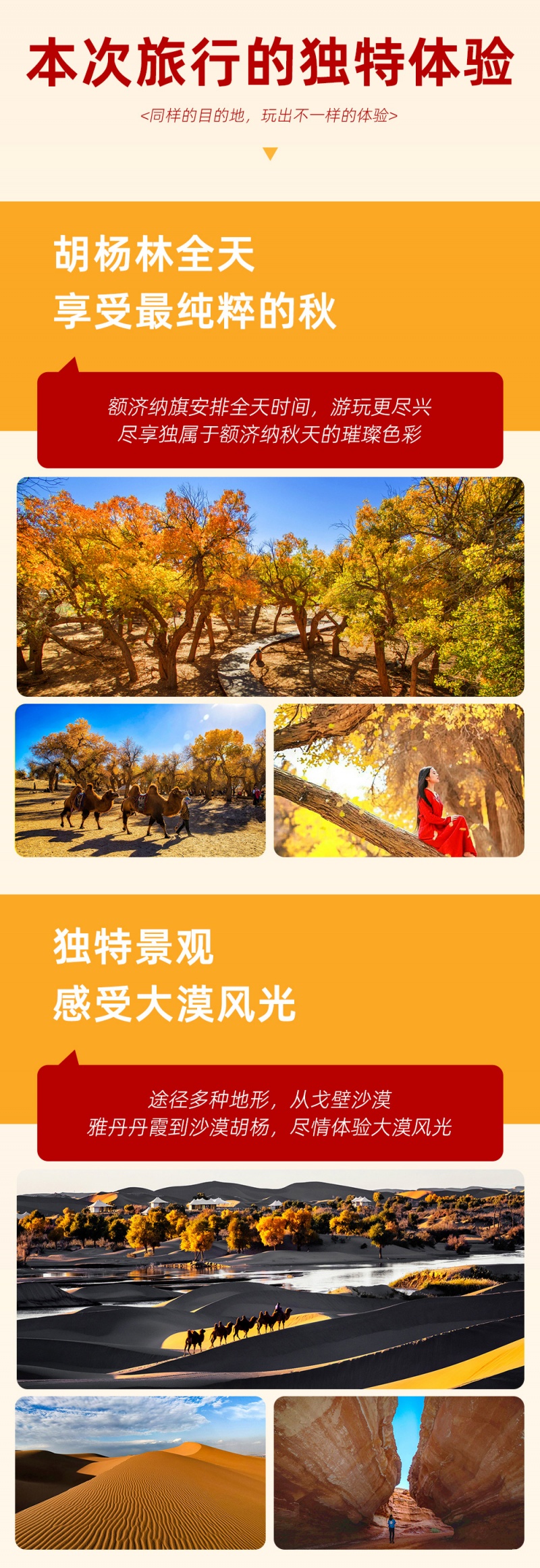 额济纳-银川线-亮点图模板-8-2