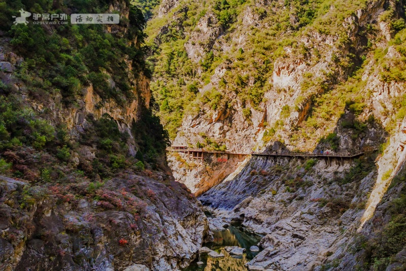 郑国渠
