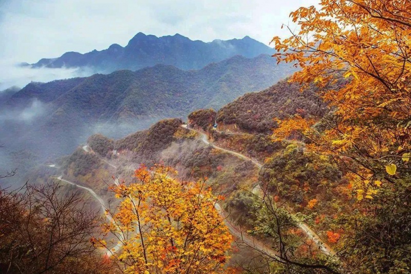 桃岭公路