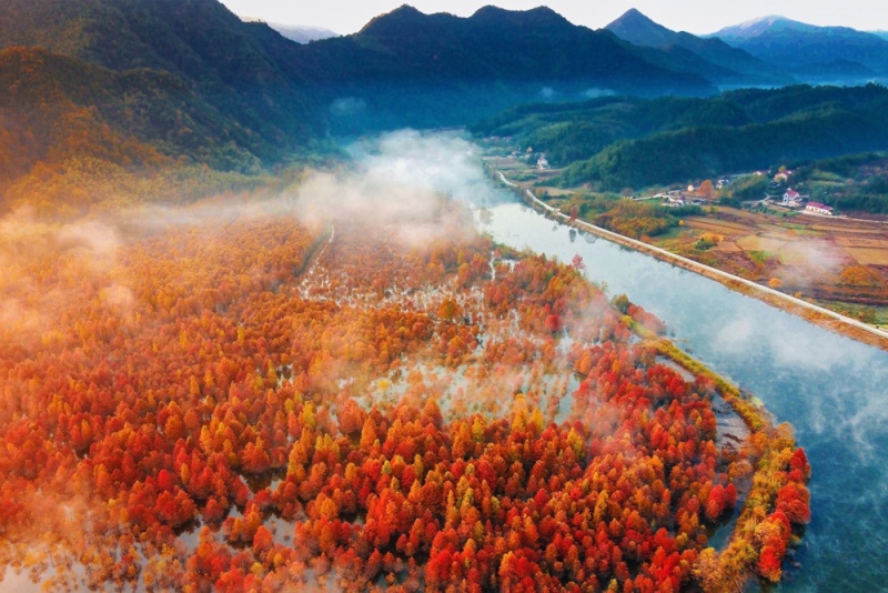 方塘落羽杉湿地公园