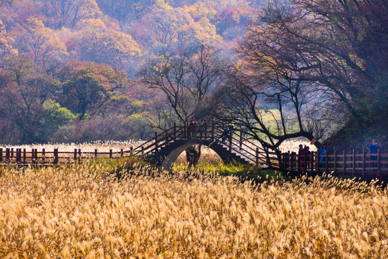 大九湖