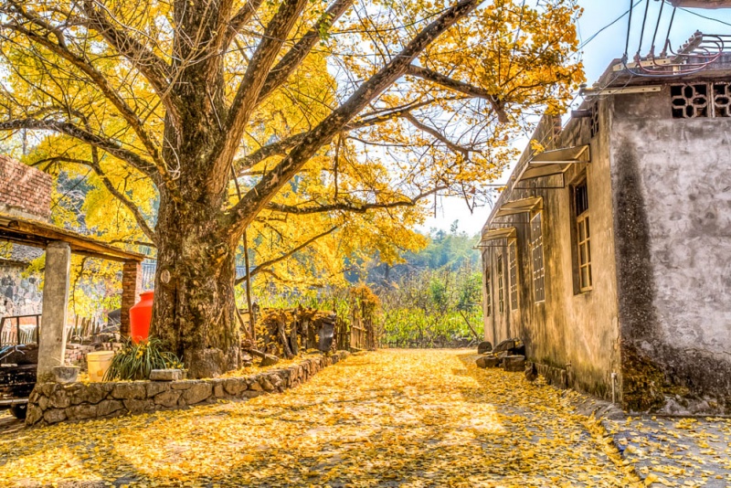 小平乐