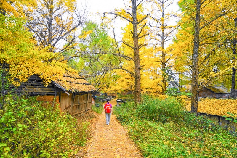 小平乐