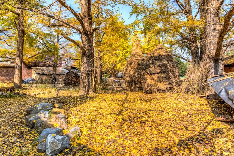小平乐