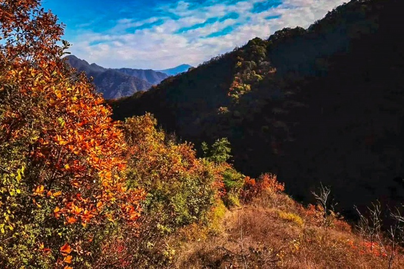 大小山岔