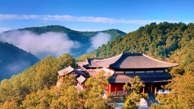 【免门票| 黄陵森林公园】10月 秋染黄陵  千年古寺紫峨寺 养生轩辕谷 绝壁丹霞云梯1日