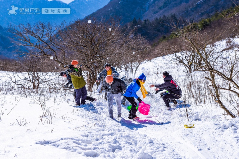 高山草甸 冬