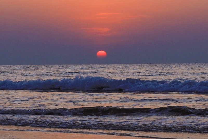 吴阳金海岸