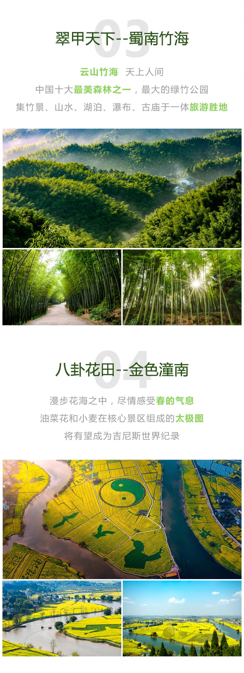 花开川渝-春天列车-亮点图-模板-3-5
