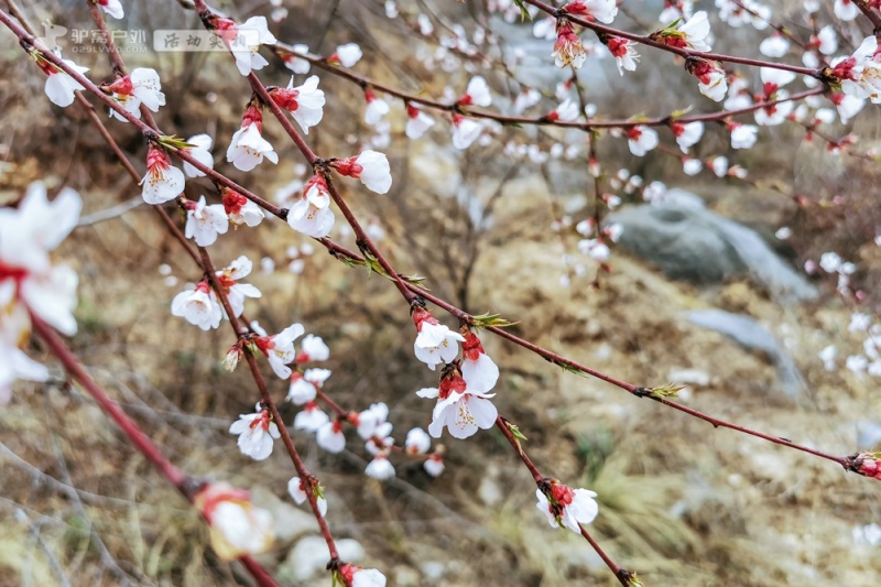 微信图片_202103041412172