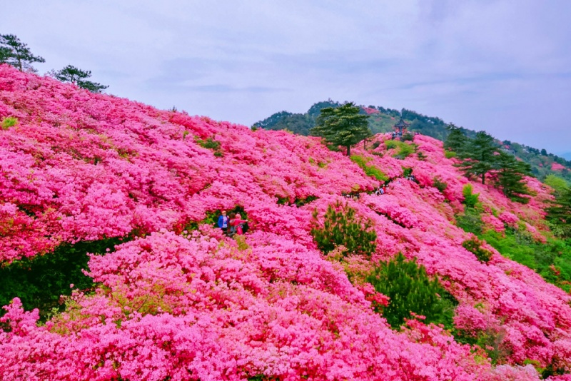 龟峰山