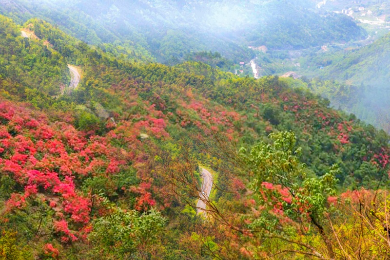 马鬃岭