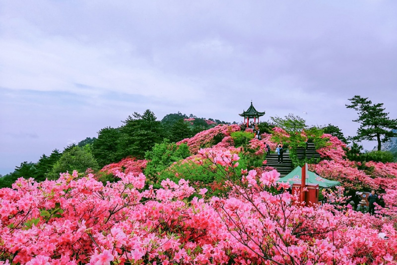 龟峰山