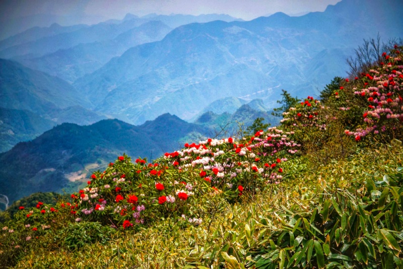 八台山