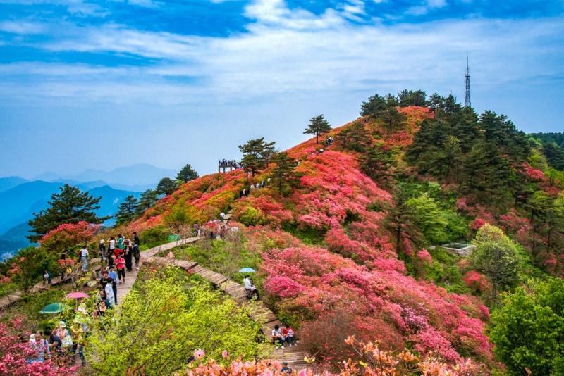 龟峰山