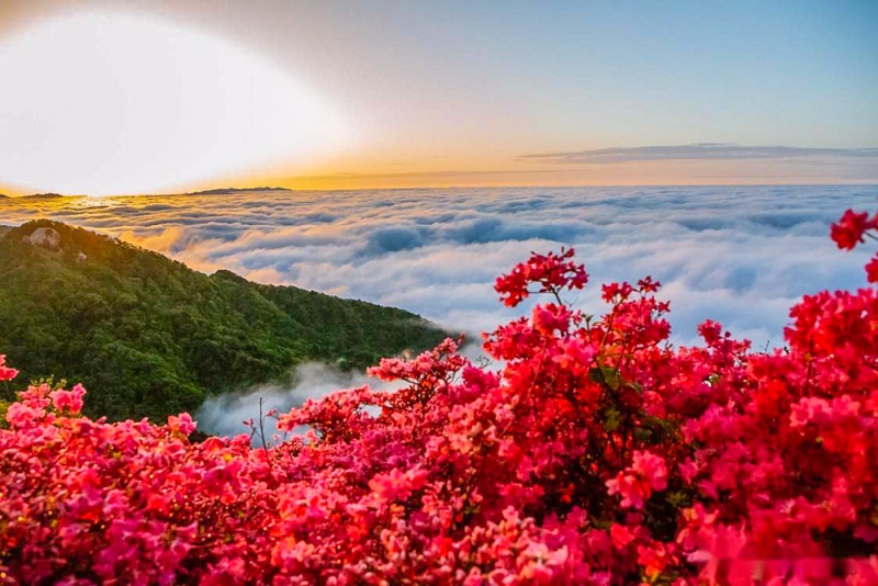 龟峰山