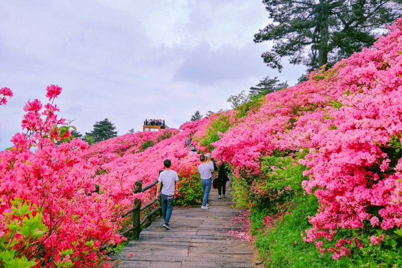 龟峰山