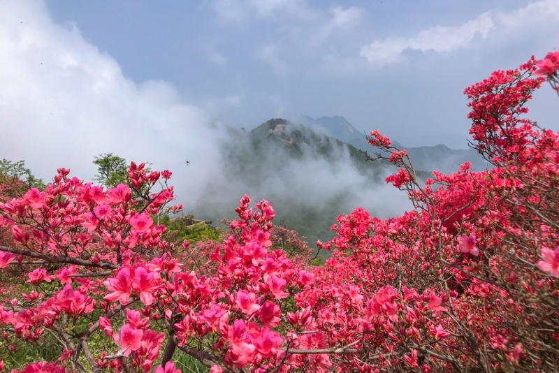 龟峰山