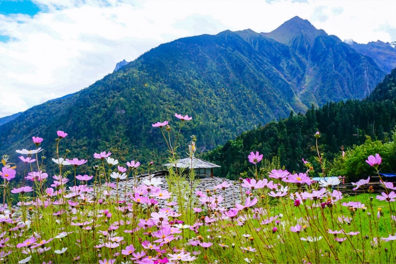 冰湖路景