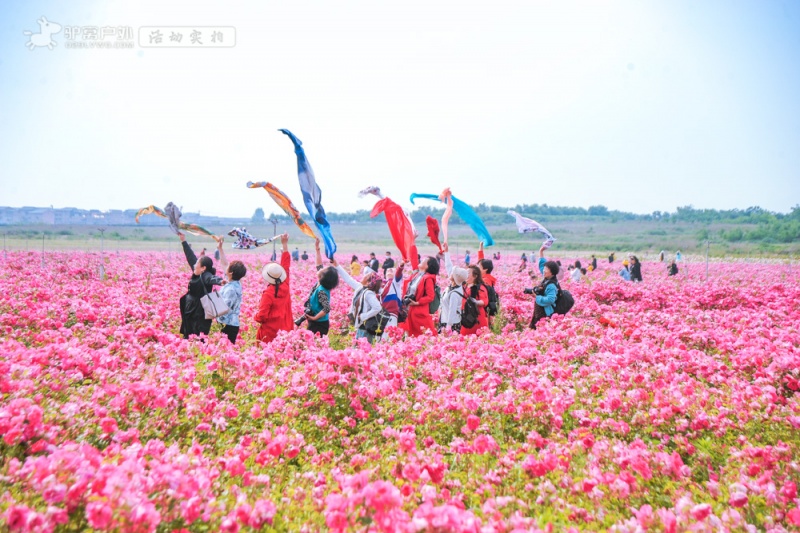 云间花境实拍