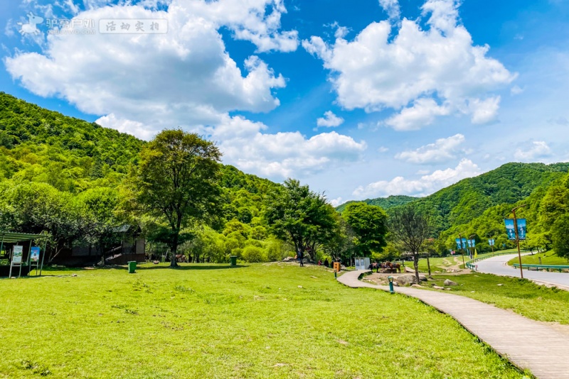 大水川