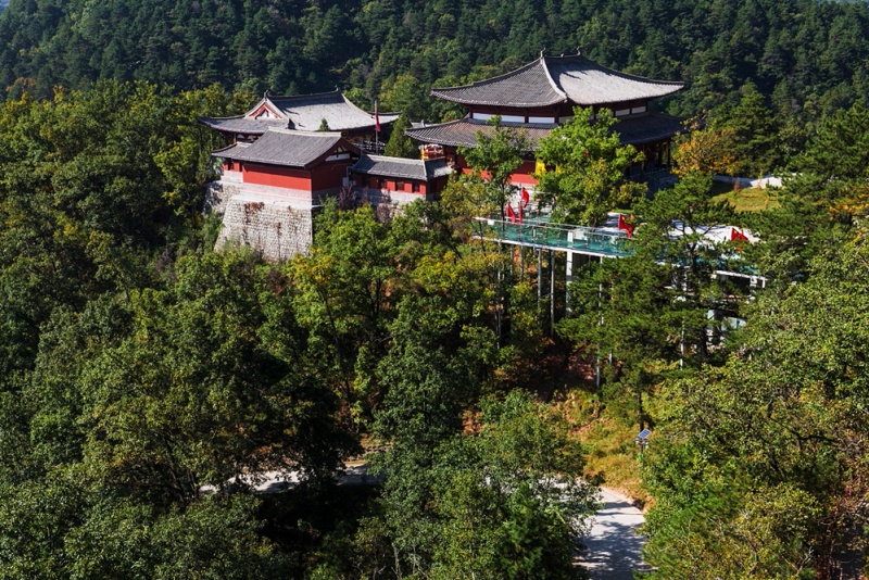 黄陵森林公园