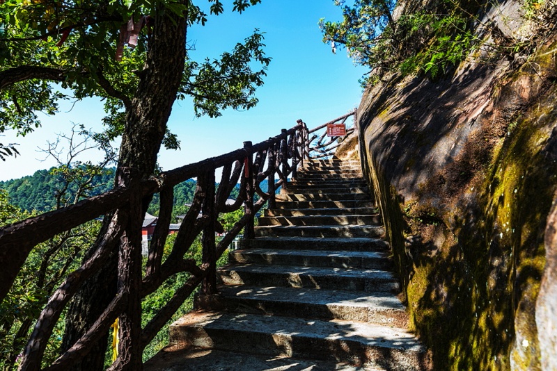 黄陵森林公园