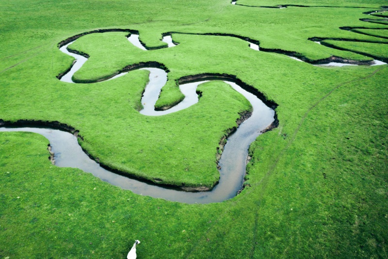 狼渡湿地