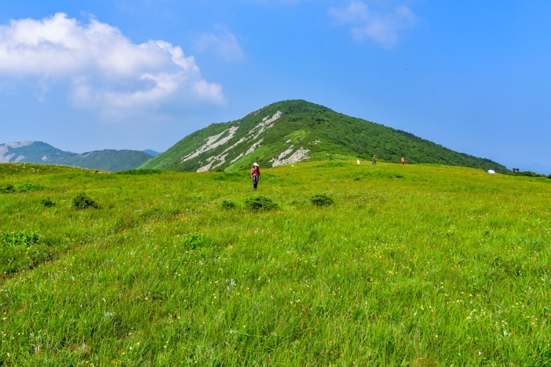 草链岭