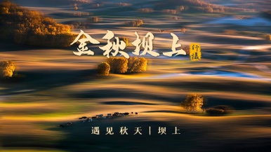 【金秋坝上秋摄】9月21日/24日 金秋坝上草原 群马奔腾 马踏水花 金山岭长城 云冈石窟 7日双动