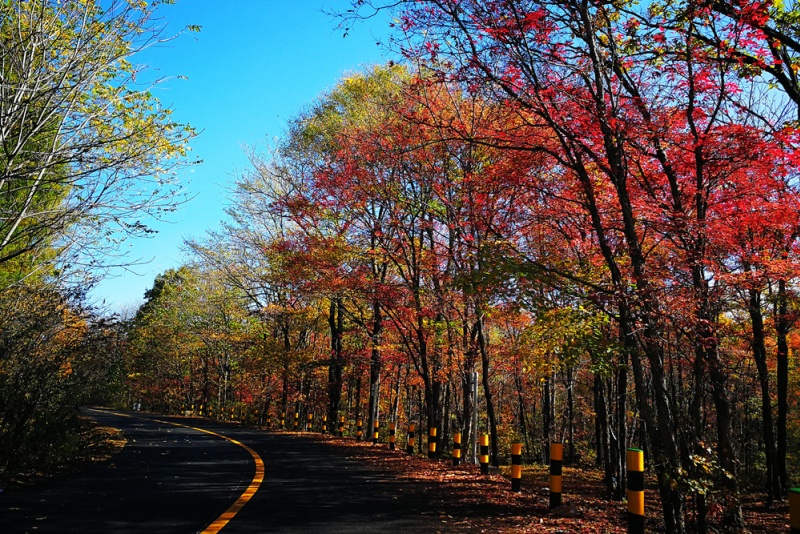 长白县沿途路景