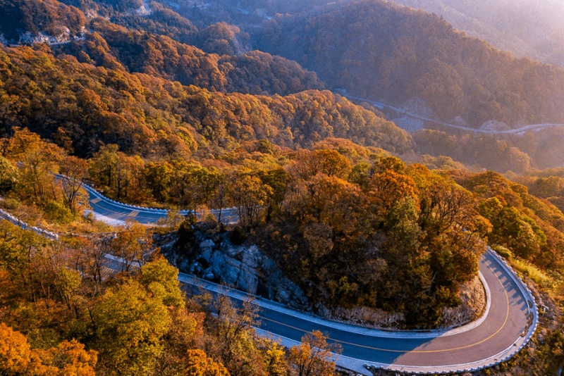 马鬃岭