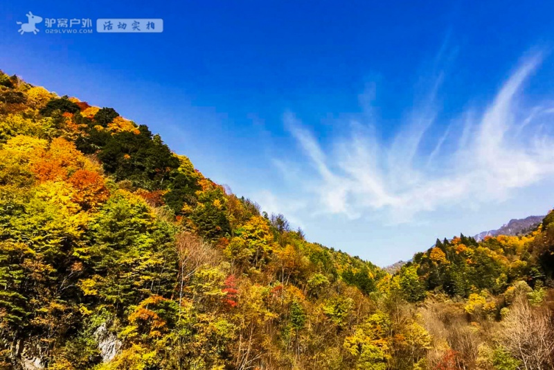 黄柏塬