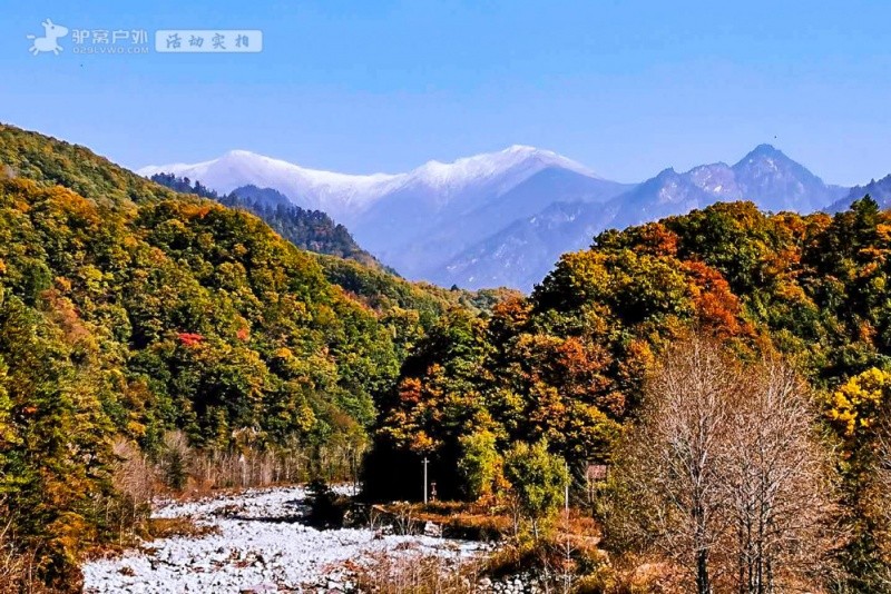 黄柏塬